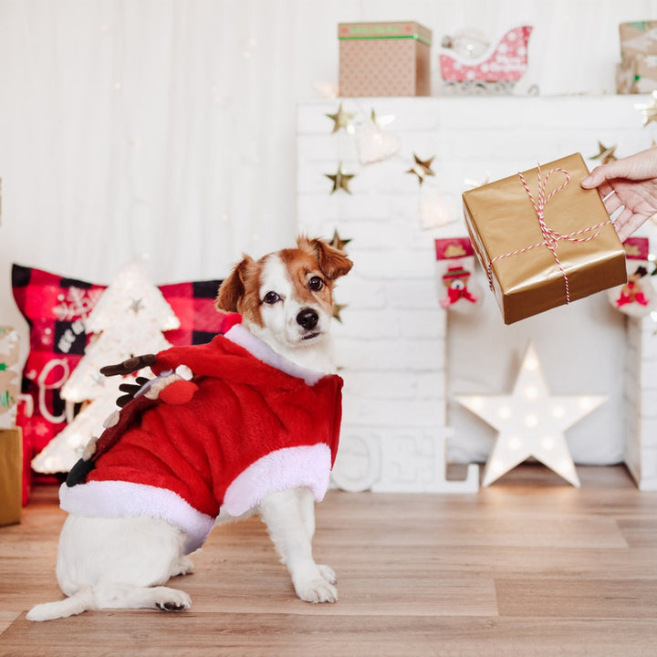 Christmas costume for cats and dogs