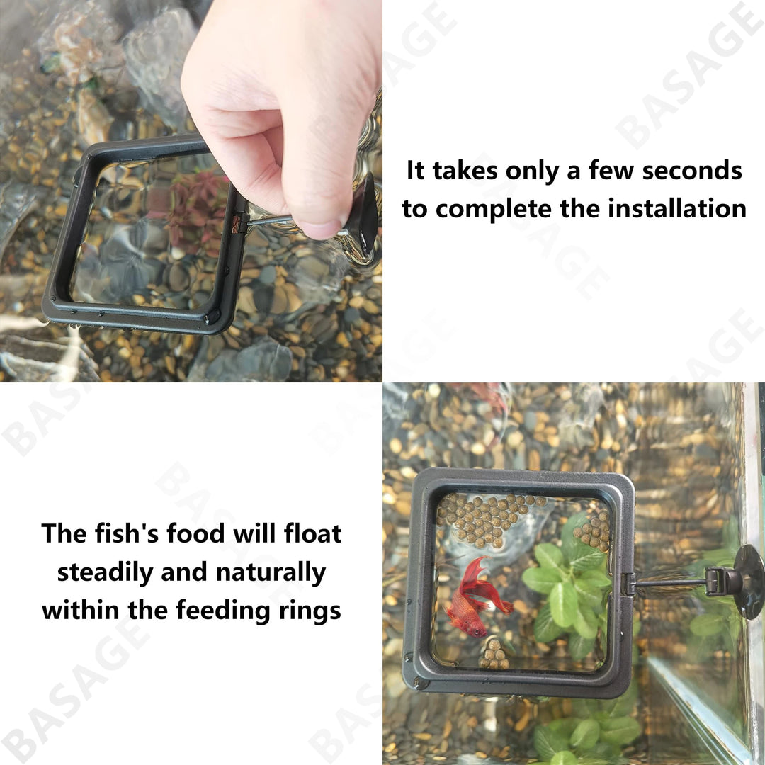 Circle aquarium feeding ring