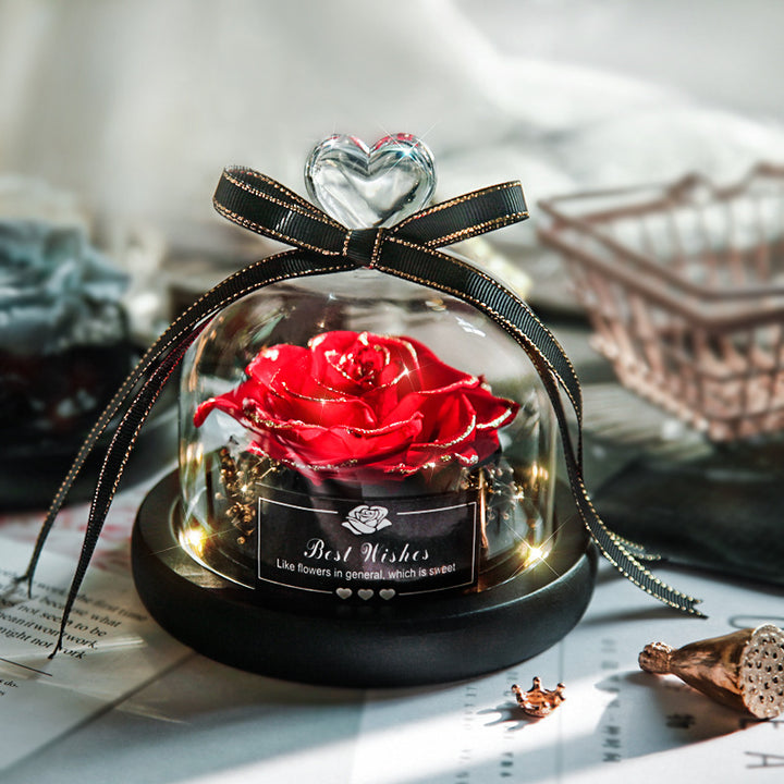 Classic Red Rose