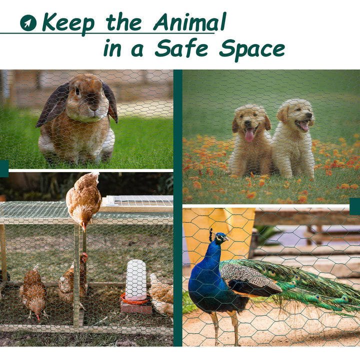 Collage of animals in safe spaces 