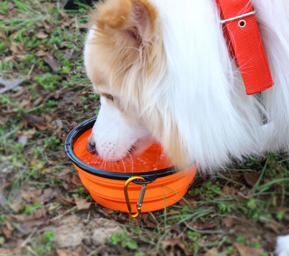 Collapsible Silicone Pet Dish