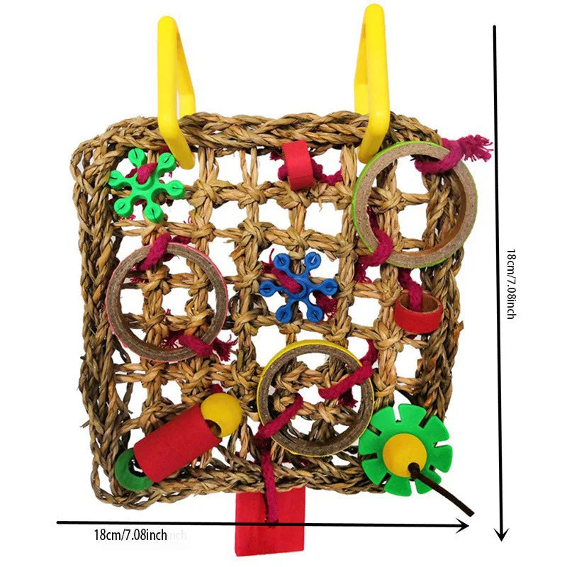 Colorful &  Fun and Interactive Parrot Toys for Play and Training