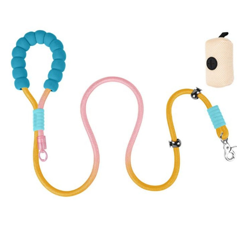 Colorful dog leash with a holder 