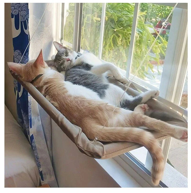 Comfortable Cat Hammock for Windows
