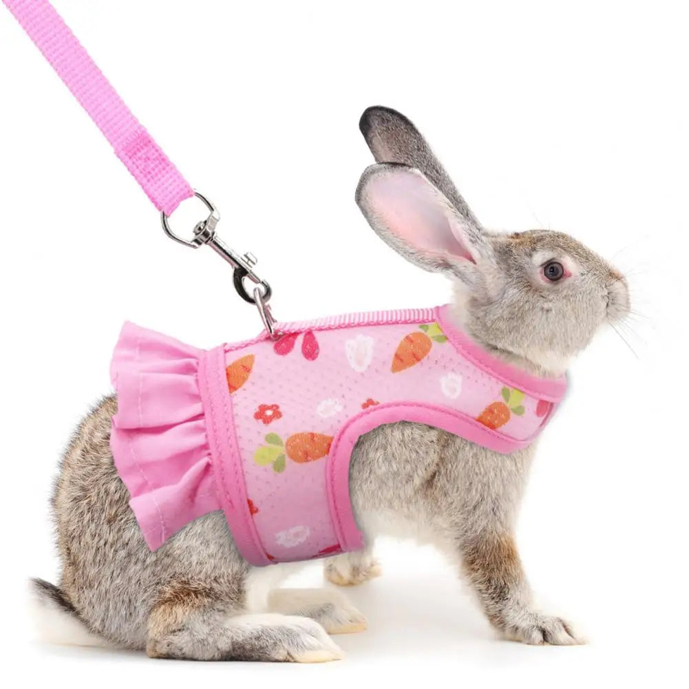 Comfortable Guinea Pig Vest

