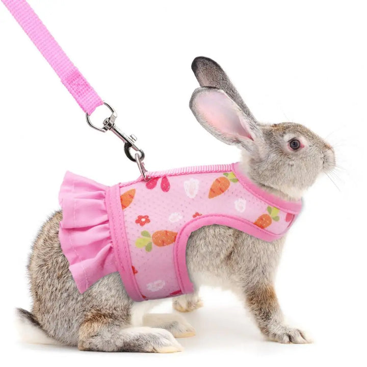 Comfortable Guinea Pig Vest
