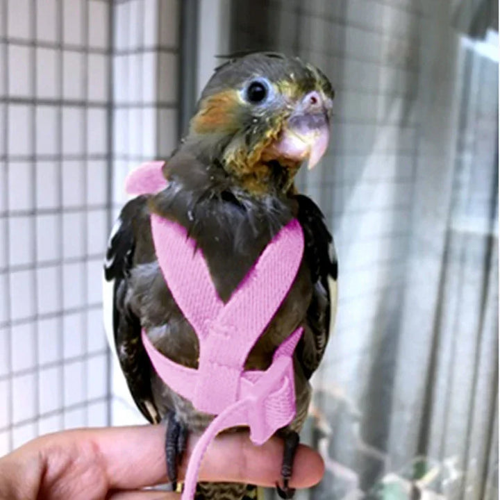 Comfortable Parrot Leash Suit