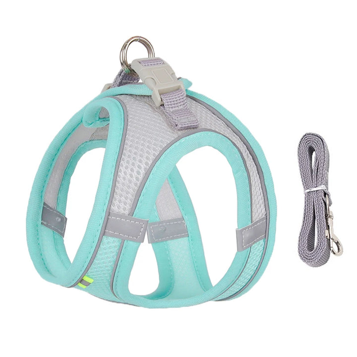 Comfortable Puppy Lead Set