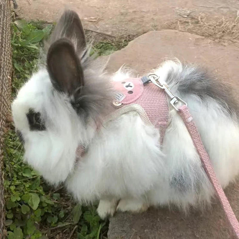 Comfortable Rabbit Vest for Walks