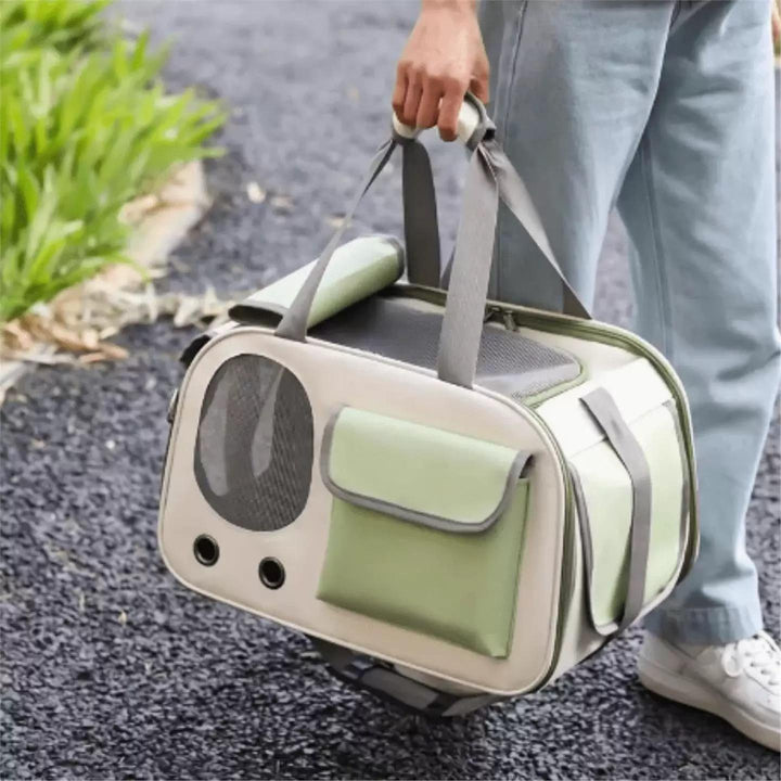 Comfortable pet backpack for outdoor trips