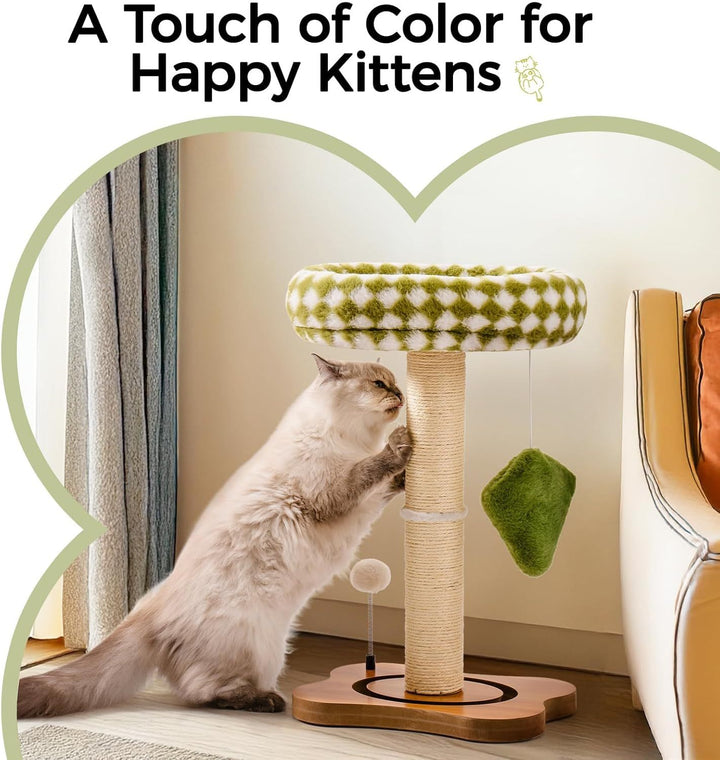 Compact cat scratching post design