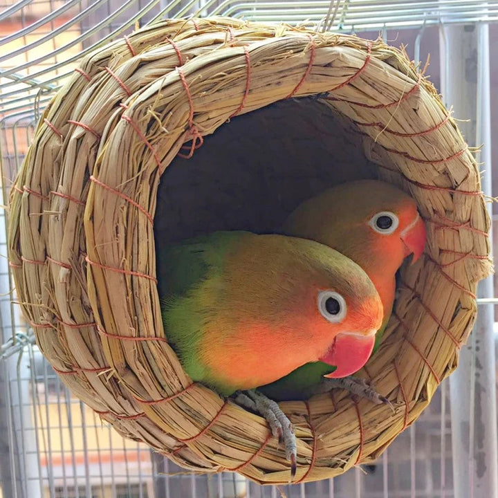 Courtyard Bird Nest for Parrots