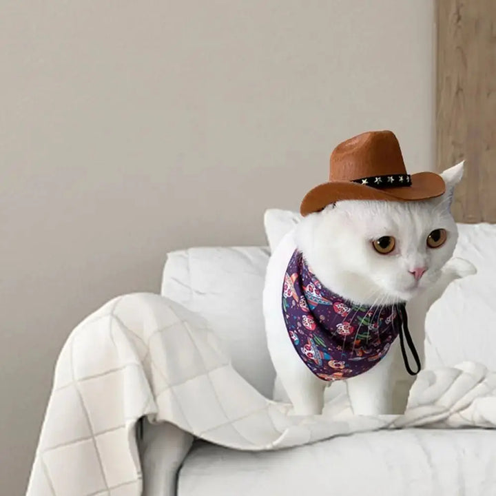 Cowboy Style Pet Dog Hat