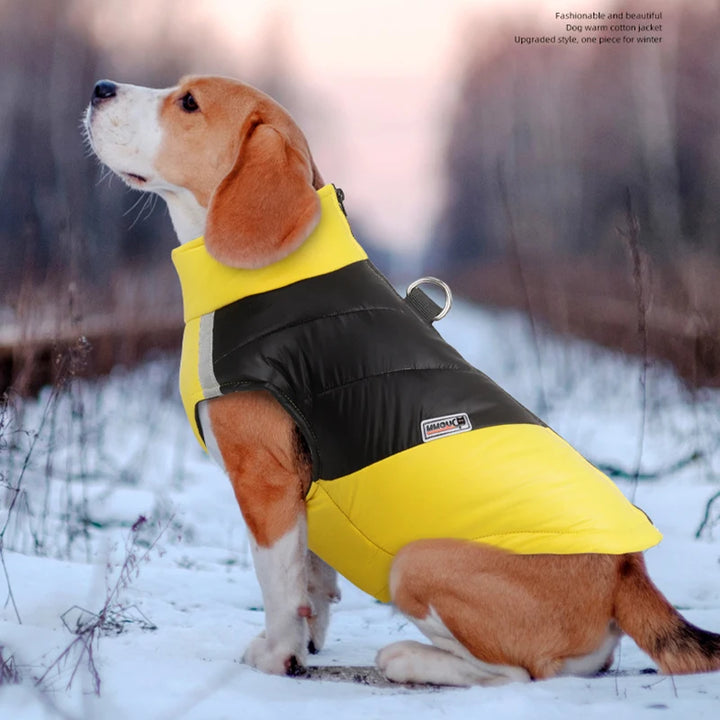 Cozy Winter Clothes For Dogs