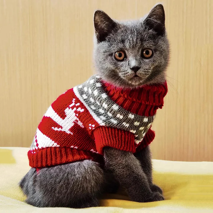 Cute Cat Sweater Costume for Winter
