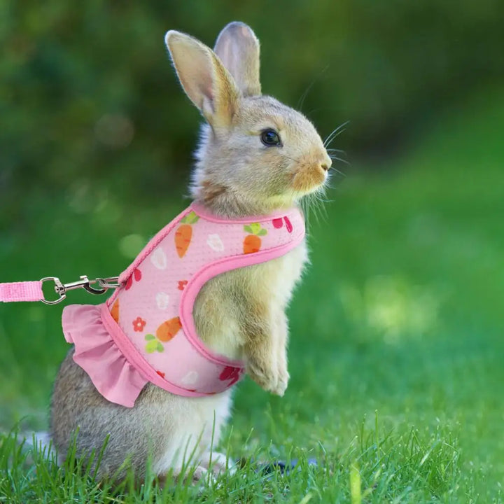 Cute Rabbit Harness and Leash
