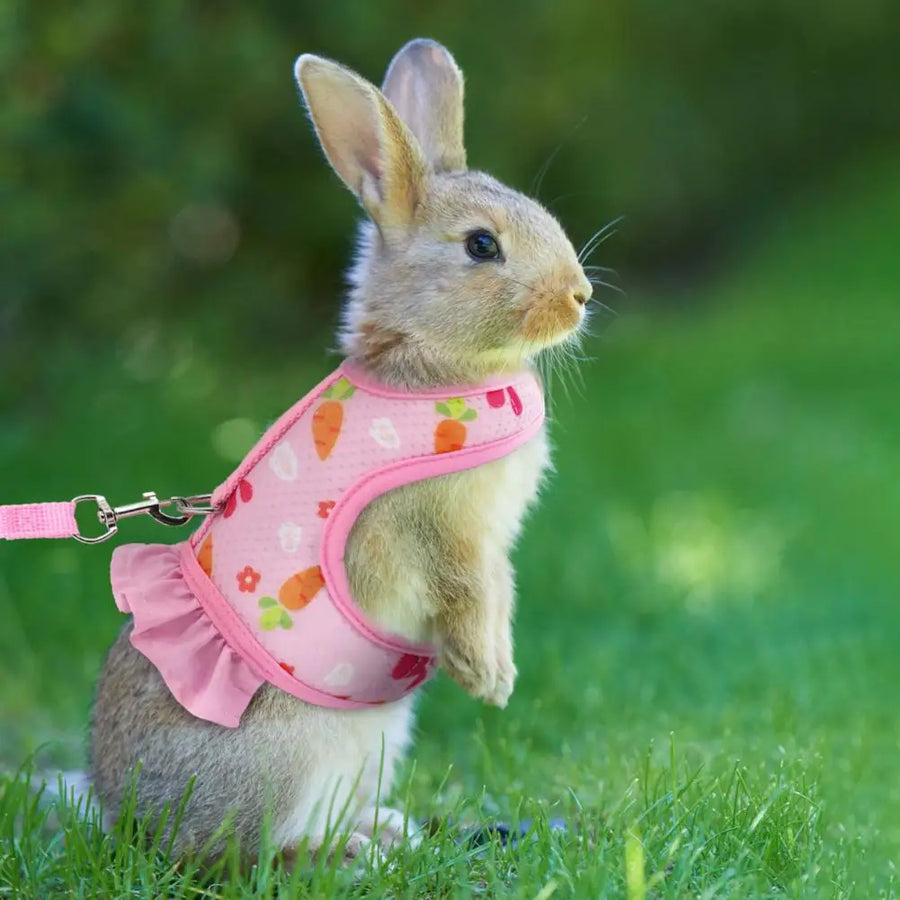 Cute Rabbit Harness and Leash
