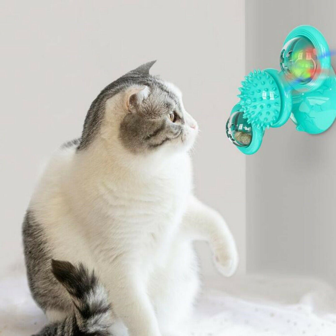 Cute indoor cat toy with suction cup