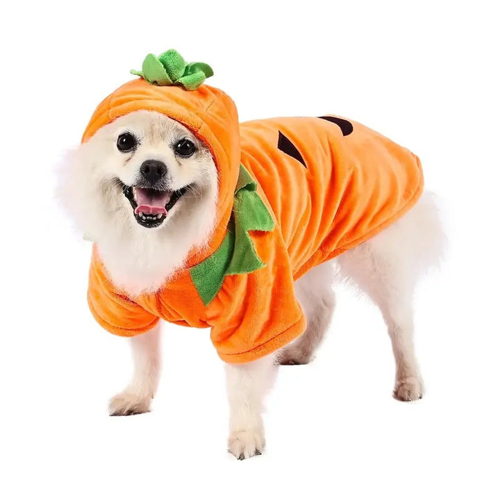 Cute puppy pumpkin Halloween outfit