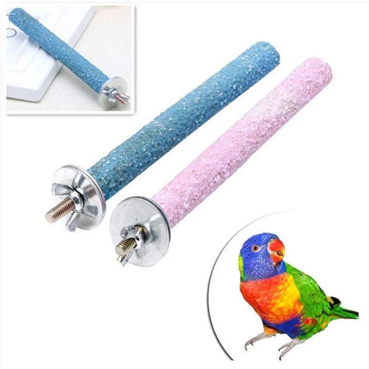 Delysia Parrot Grinding Toy