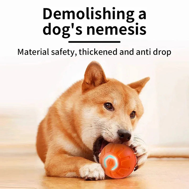 Demolishing A Dog's Nemesis