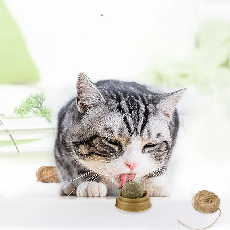 Digestive Aid Catnip Ball