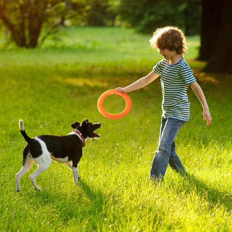 Dog Fitness Toy Flying Ring
