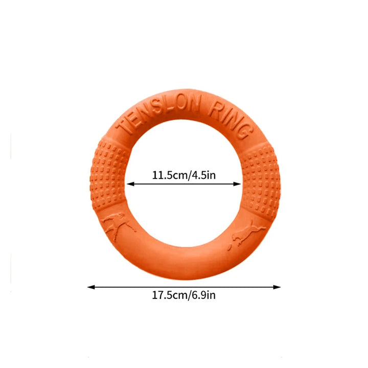 Dog Game Playing Toy Ring
