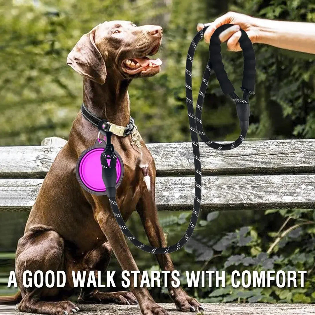 Dog Leash for Large Dogs