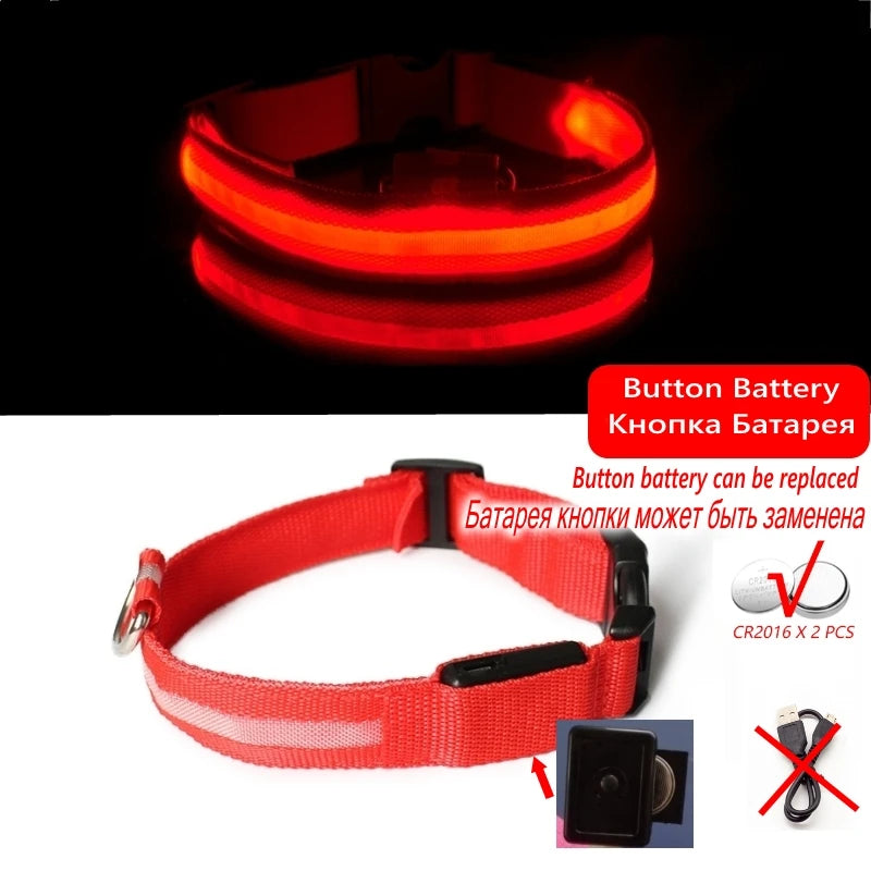 Dog Night Safety Collar with LED Light