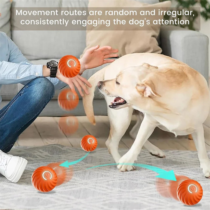 Dog Play With The Smart Ball 