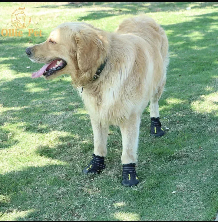 Dog Shoes With Waterproof and Reflective Features