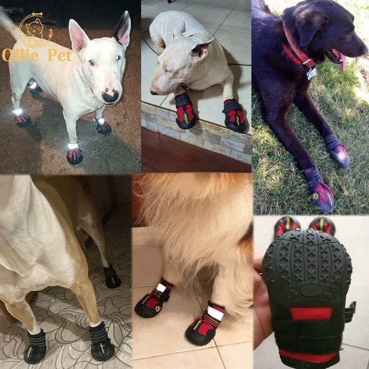 Dog Sports Boots With Reflective Design