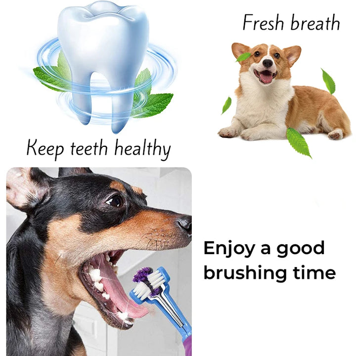 Dog Teeth Cleaner