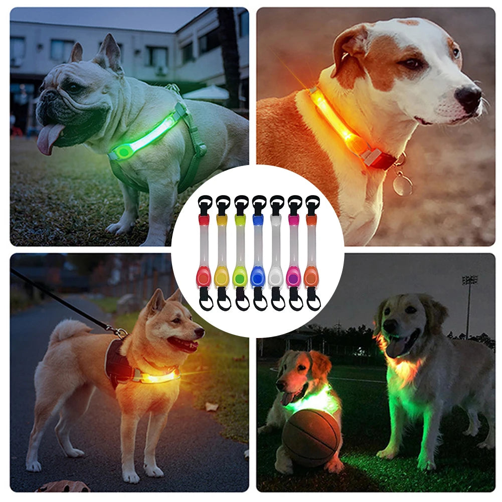 Dog Traction Safety Glowing Collar