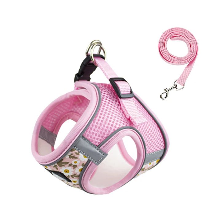 Dog Walking Supplies Harness Set