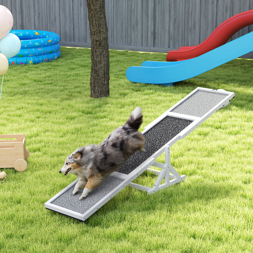 Dog agility ramp for outdoor exercise