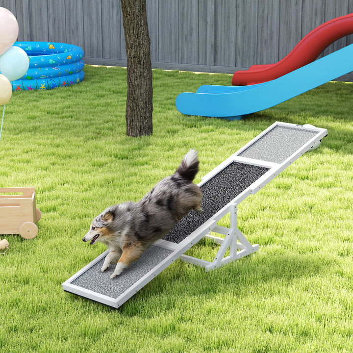 Dog agility ramp for outdoor exercise
