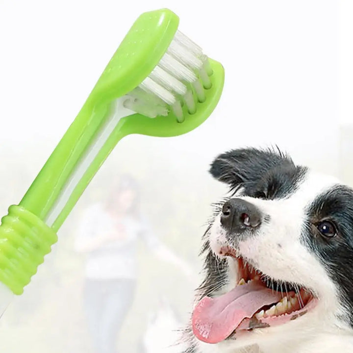 Dog and Cat Three-Head Toothbrush
