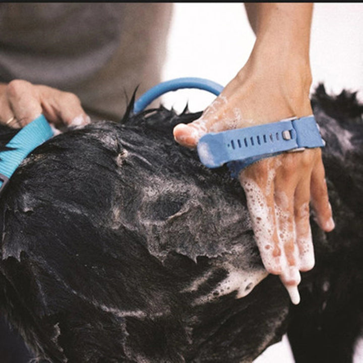 Dog bath cleaning brush with sprayer