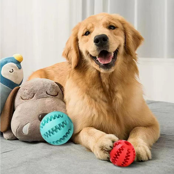 Dog bite resistant chewing toy ball