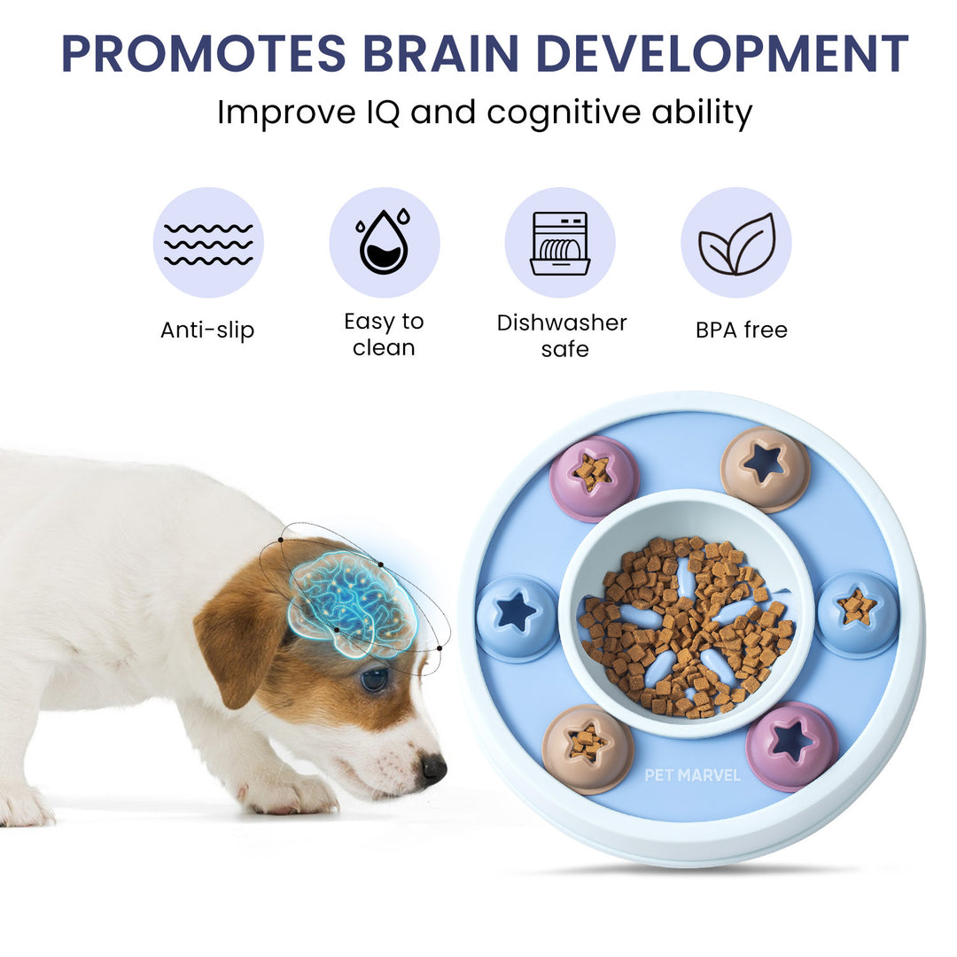 Dog brain game toy for mental stimulation