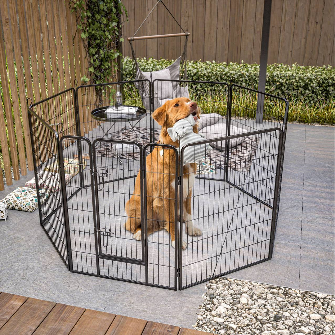 Dog exercise pen for outdoor use