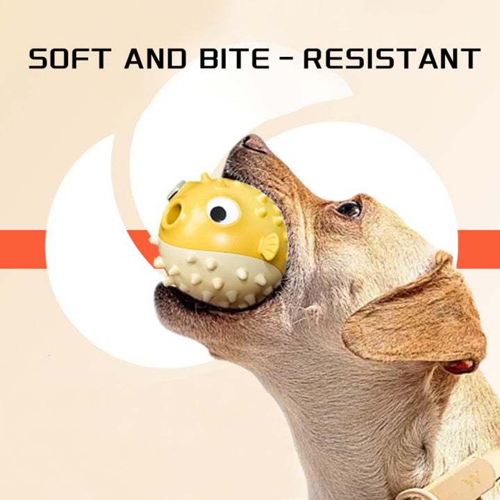 Dog holding a yellow and white ball 