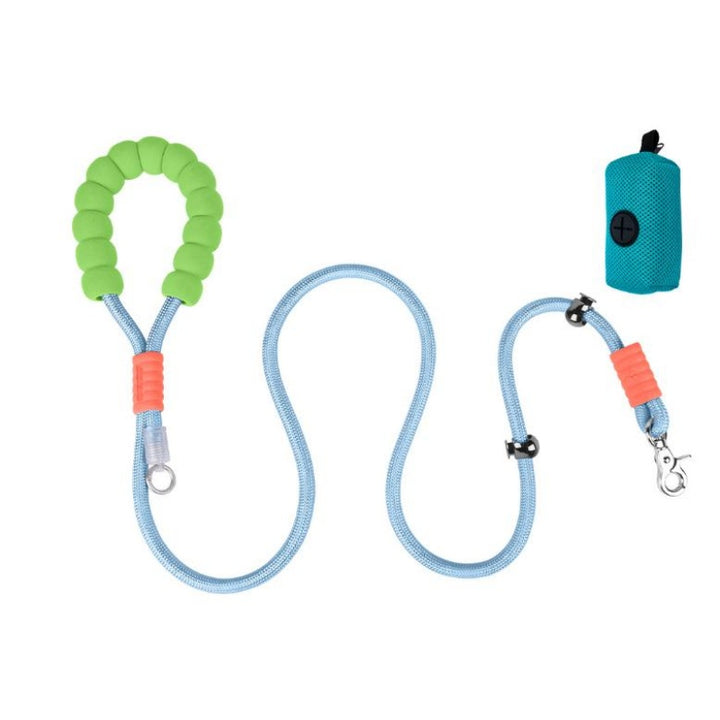 Dog leash with green handle and blue body 