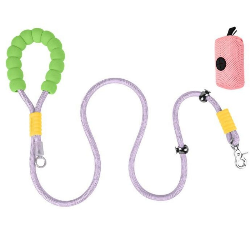 Dog leash with green handle and pink doggy doorbell 