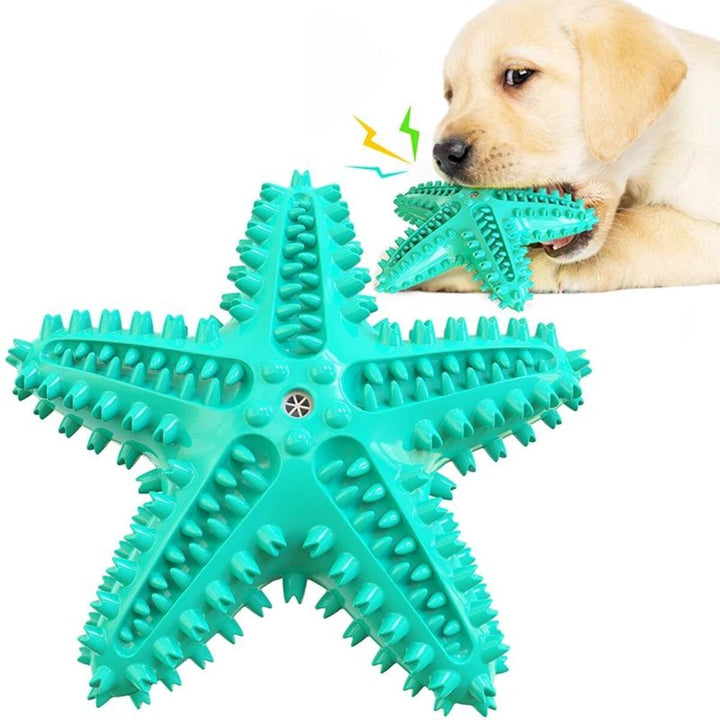 Dog playing with a green star shaped