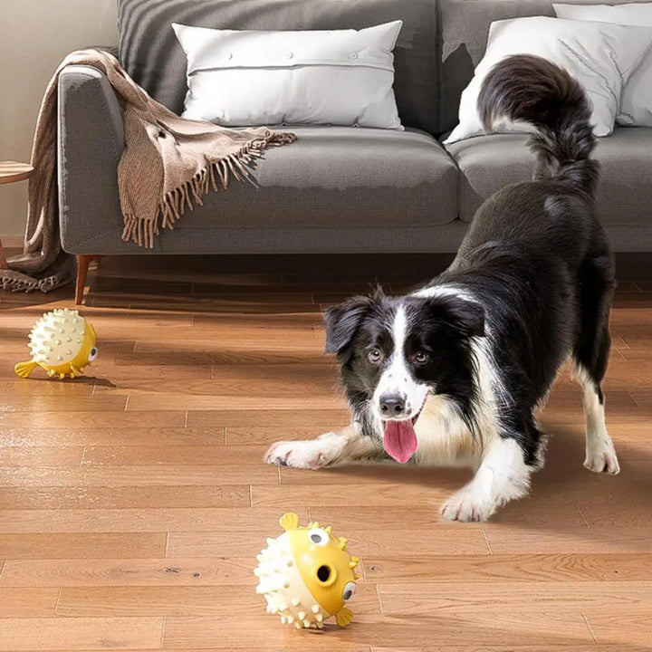 Dog playing with two yellow spiky toys 
