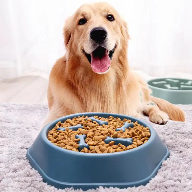 Dog slow feeder bowl with anti-slip base