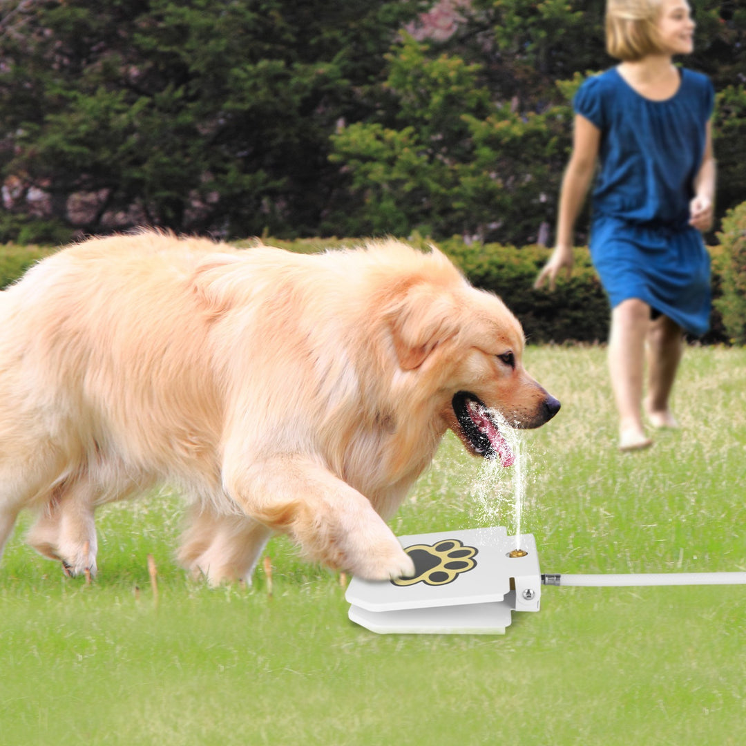 Dog step-activated water fountain for outdoor use